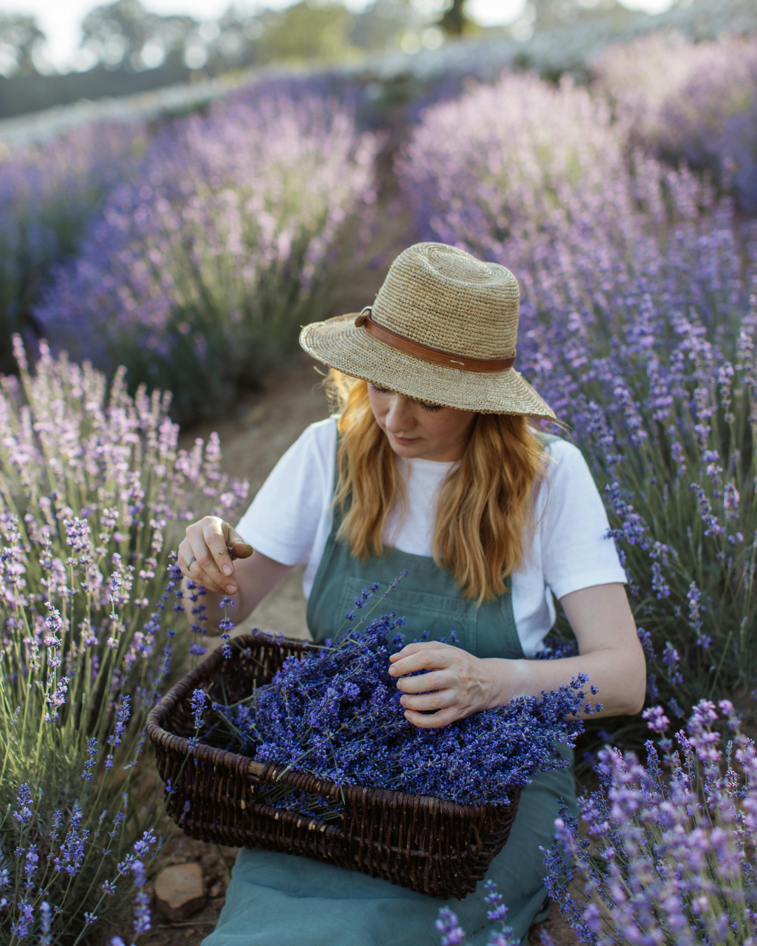 Vela Cozy Lavender The Hygge Candles
